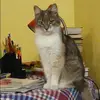 Отзыв от Пелагея Попова